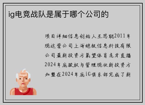 ig电竞战队是属于哪个公司的